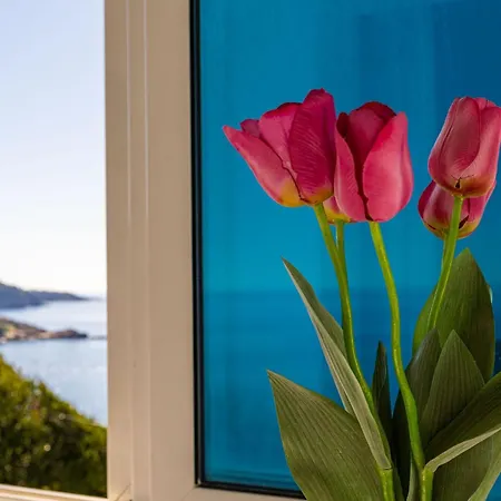 Appartement Butterfly Dubrovnik