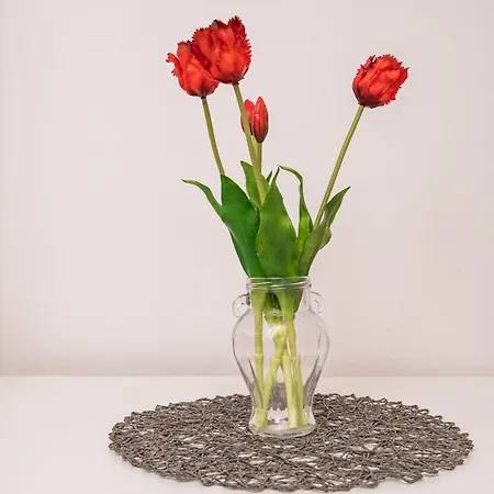 Butterfly 公寓 杜布罗夫尼克