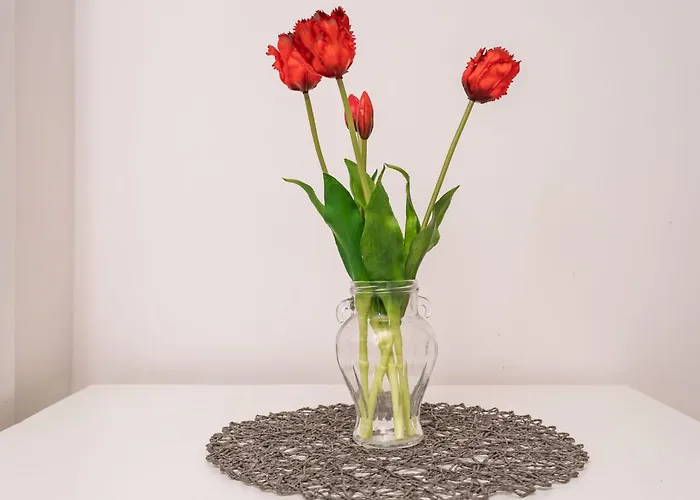 Butterfly דירה דוברובניק